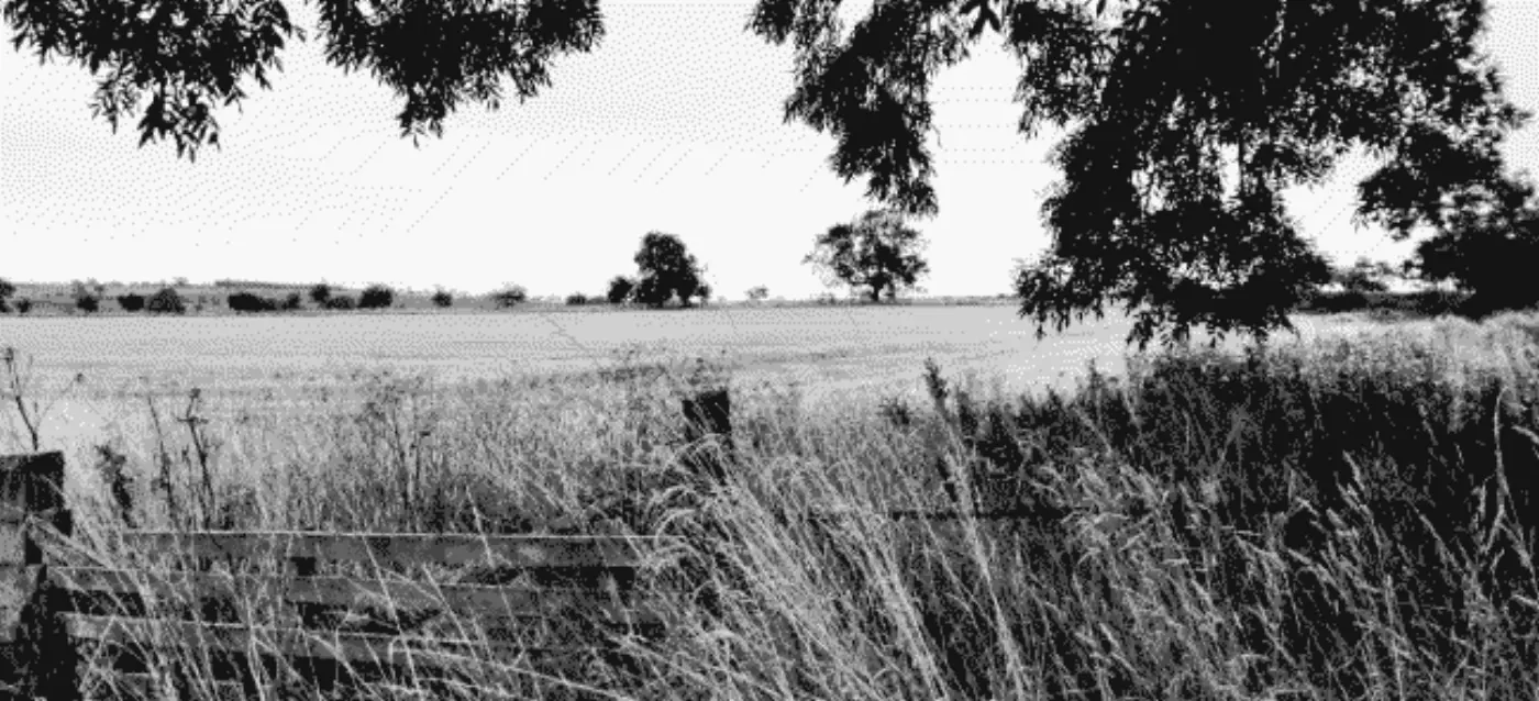 Northumbrian field