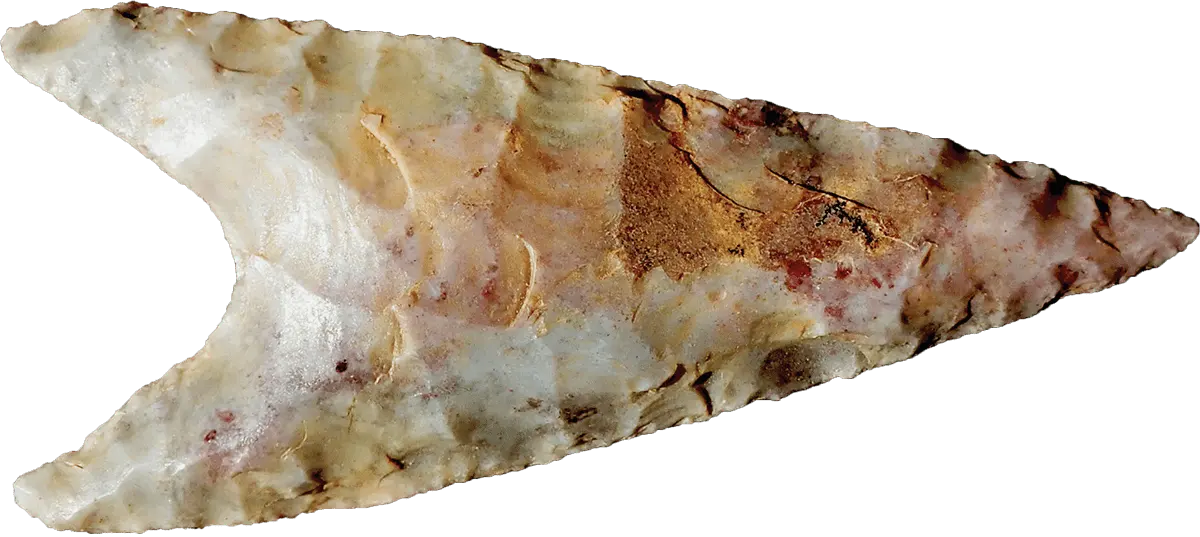 An asymmetrical triangular shaped stone tool with a sharp point and a mottled white, beige, and brown surface, displaying the skilled technique of ancient stone knapping.