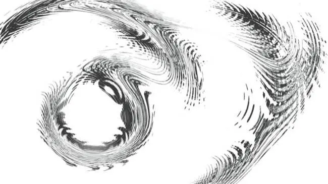 A black and white photo of a spiral of feathers