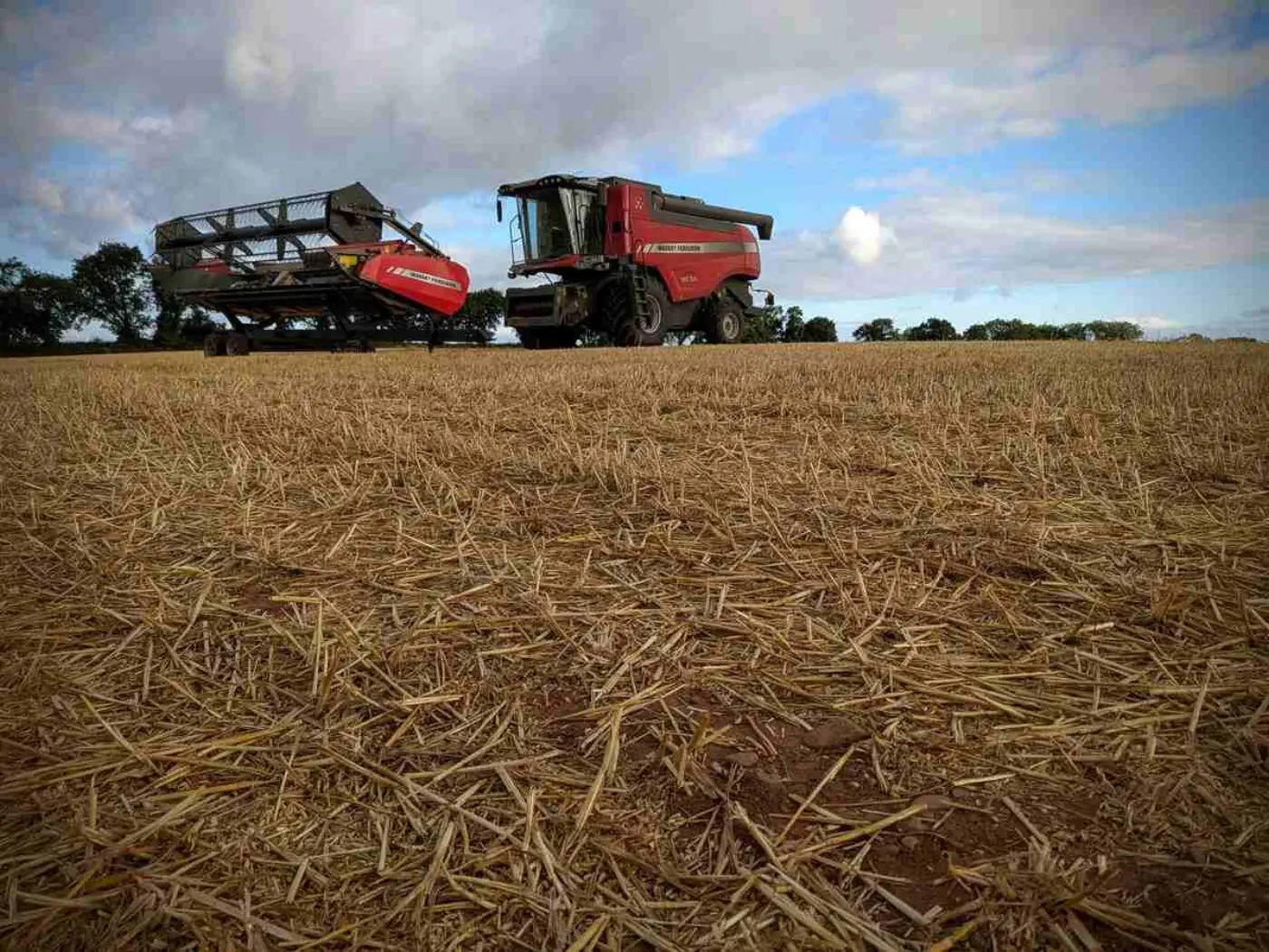 Combine harvester 