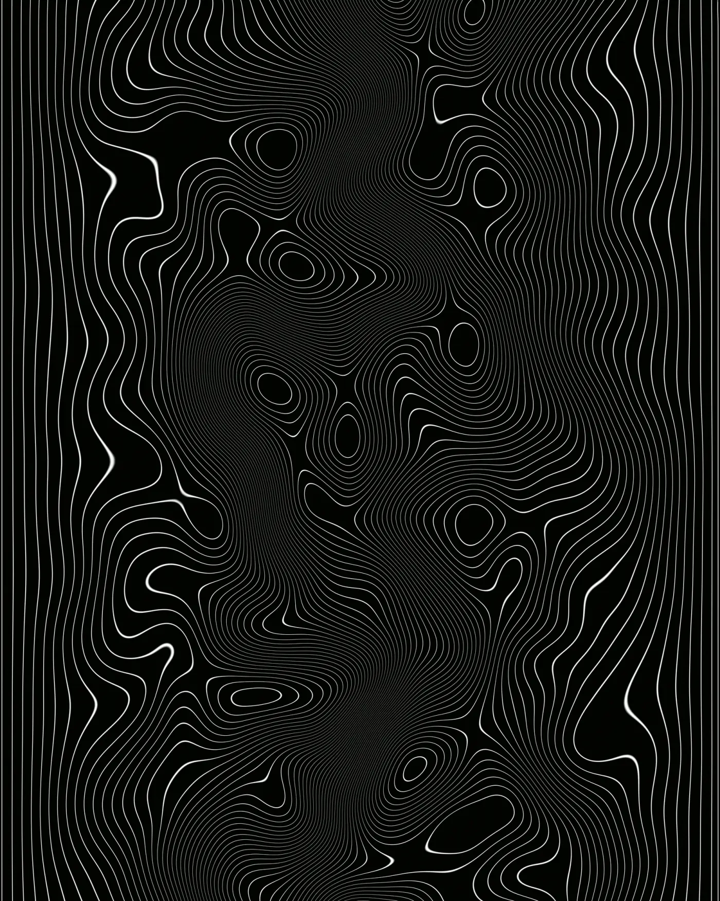 Auto-generated description: A series of intricate, wavy white lines on a black background creates an abstract, topographic-like pattern.
