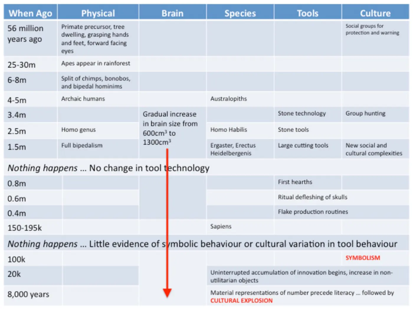 A chart showing the timeline of human evolution, detailing changes in physical traits, brain size, species, tools, and culture over millions of years.