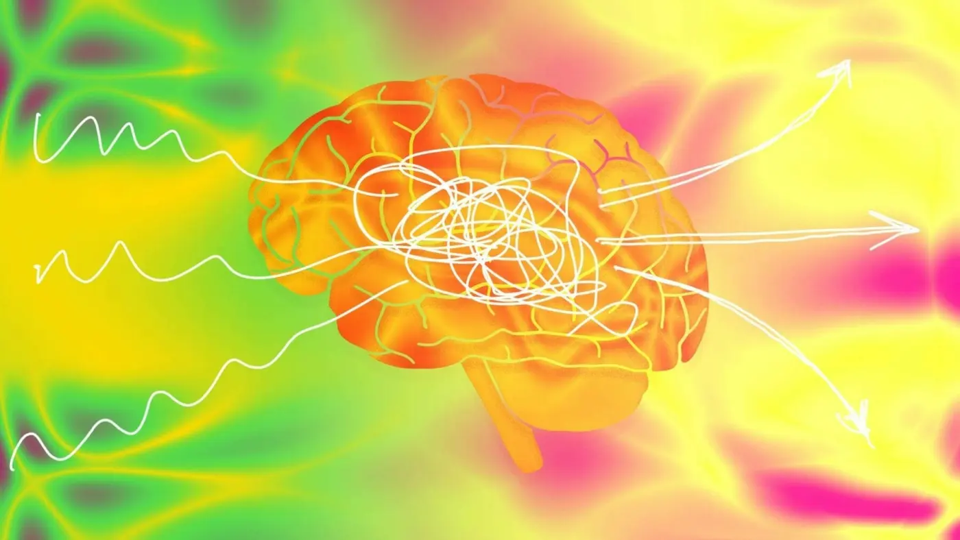 brain