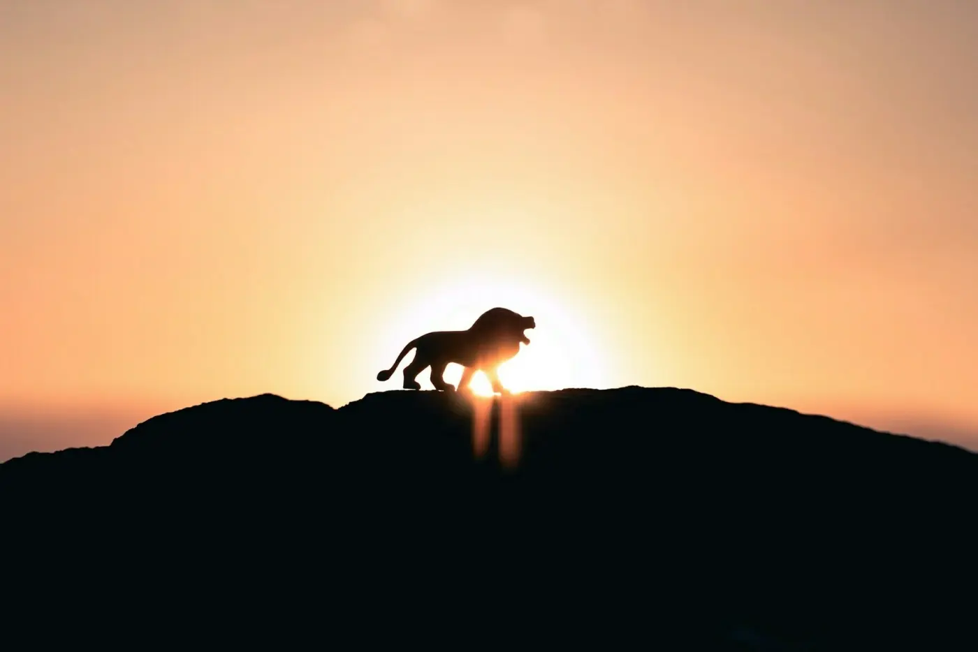 Auto-generated description: A silhouette of a lion stands majestically on a hill against a sunrise or sunset.