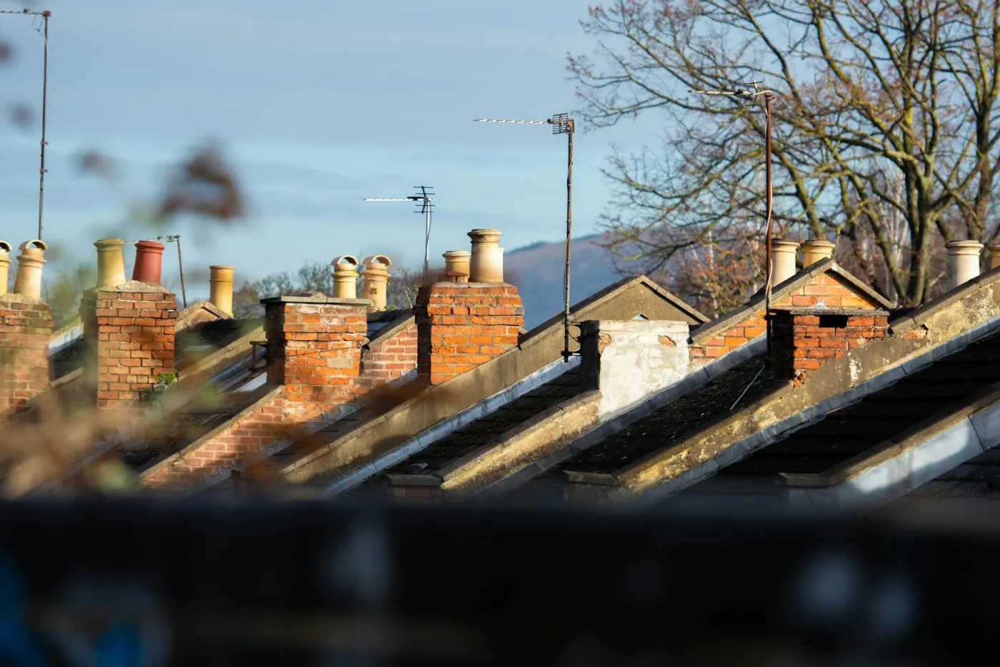 Auto-generated description: Rows of brick rooftops with chimneys are set against a backdrop of trees and distant hills.