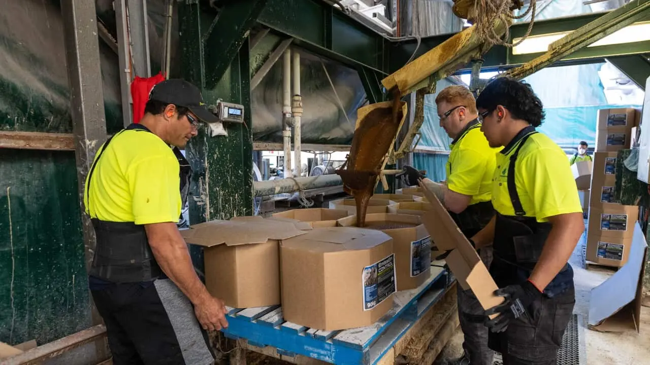 People working 
