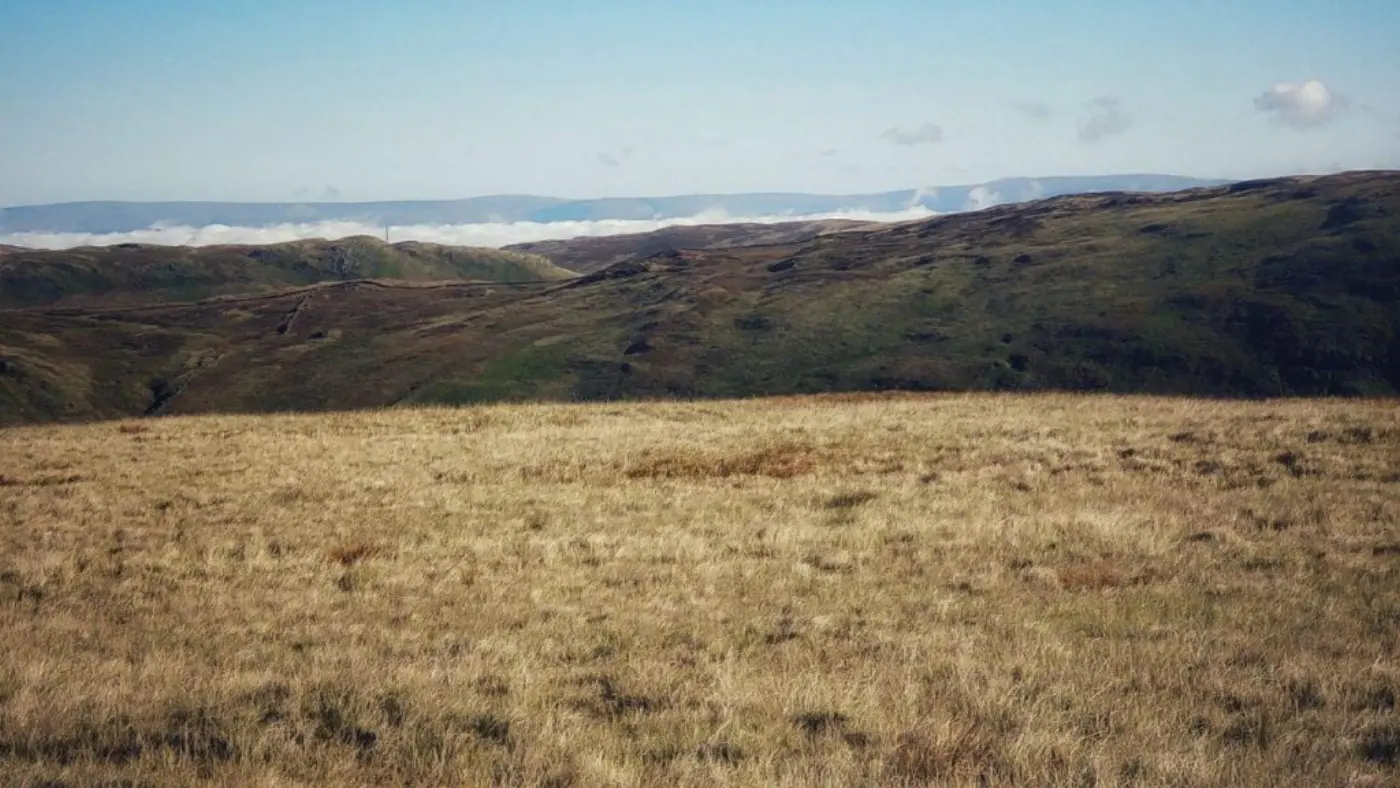 Low-lying cloud
