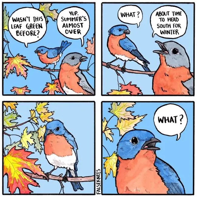 A four-panel comic of two bluebirds discussing the changing seasons and migration.