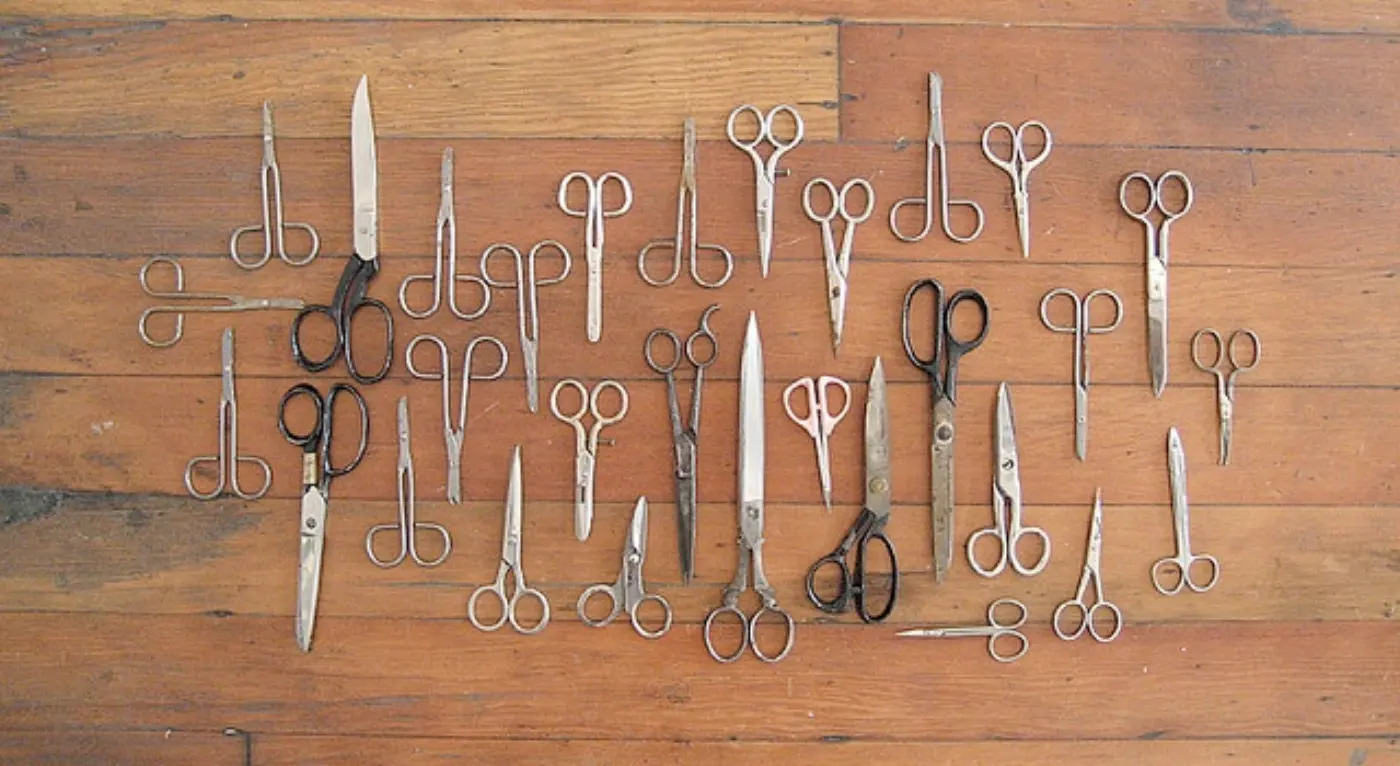 lisa's scissors