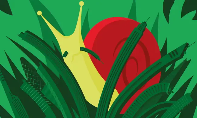 Sylized illustration of a snail in grass