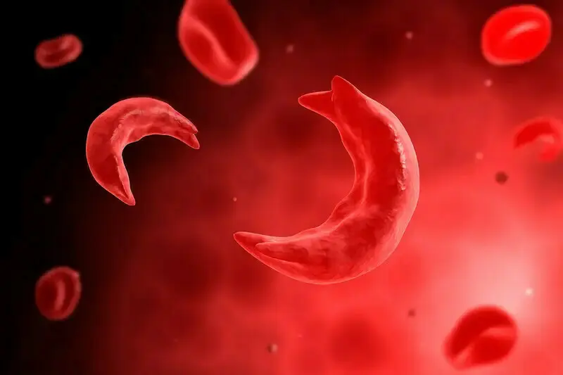 Red blood cells