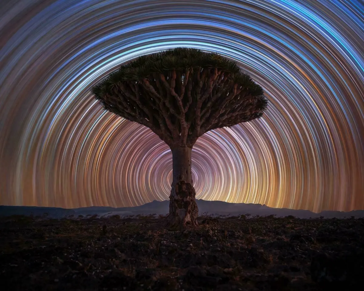 Auto-generated description: A solitary tree stands against a backdrop of swirling, colorful star trails.