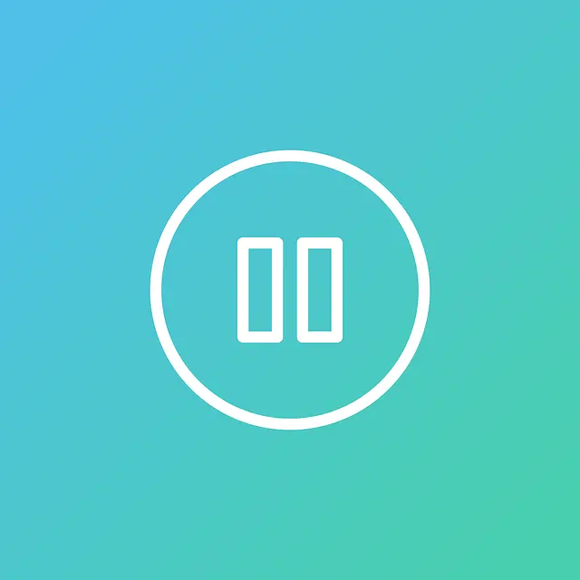 Pause icon