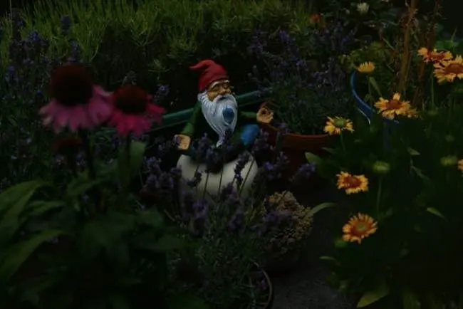 Auto-generated description: A garden gnome with a red hat and white beard sits in a meditative position surrounded by colourful flowers and lush greenery.