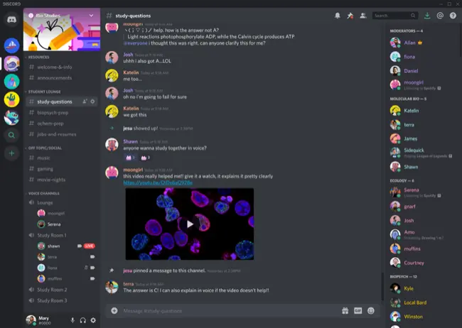 Discord screenshot