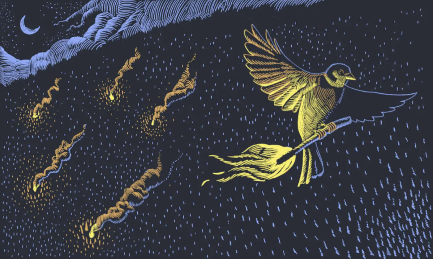Illustration of birds from Bonfire website