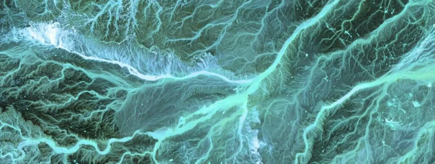 A satellite photo showing eandering wadis combine to form dense, branching networks across the stark, arid landscape of southeastern Jordan.