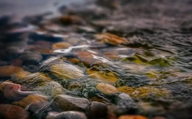 Auto-generated description: Clear water gently flows over colorful, rounded stones in a streambed.