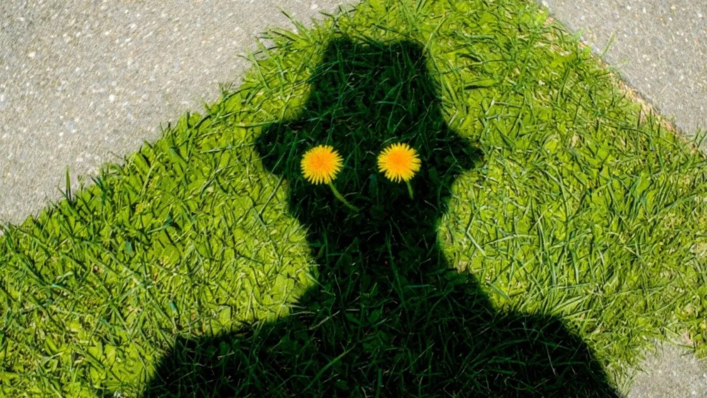 Auto-generated description: A shadow of a person wearing a hat is cast on grass, with two dandelions aligning as eyes.