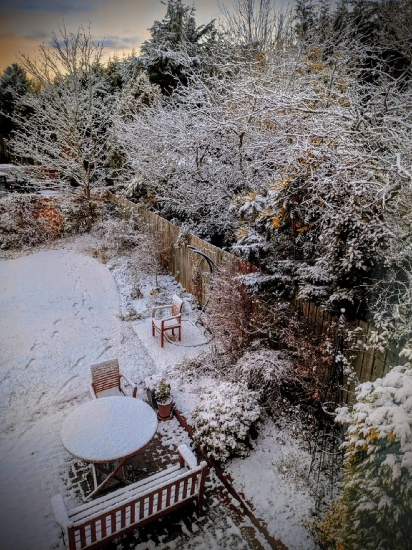 Part of a garden with trees, plants, and garden furniture covered in snow