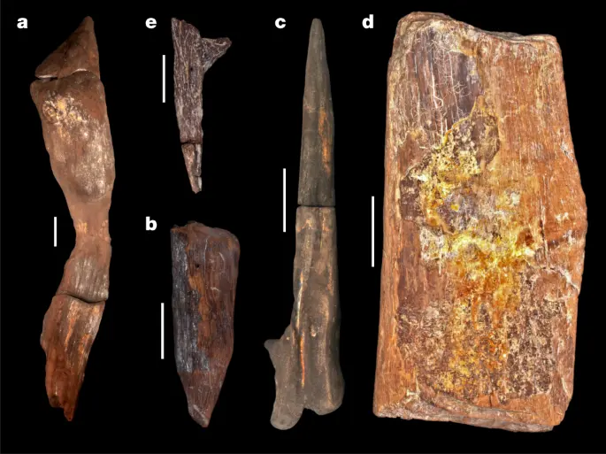 Wooden tools
