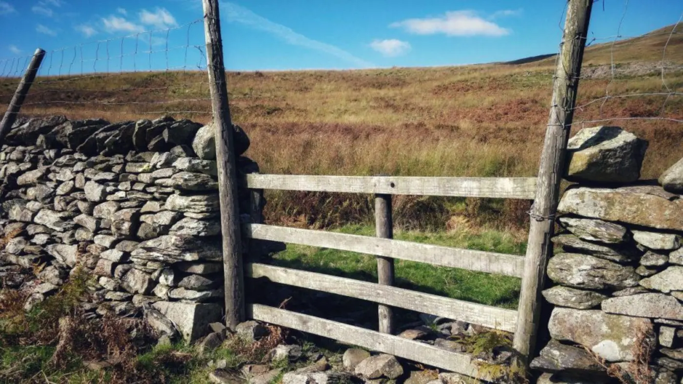 Lamb Pasture