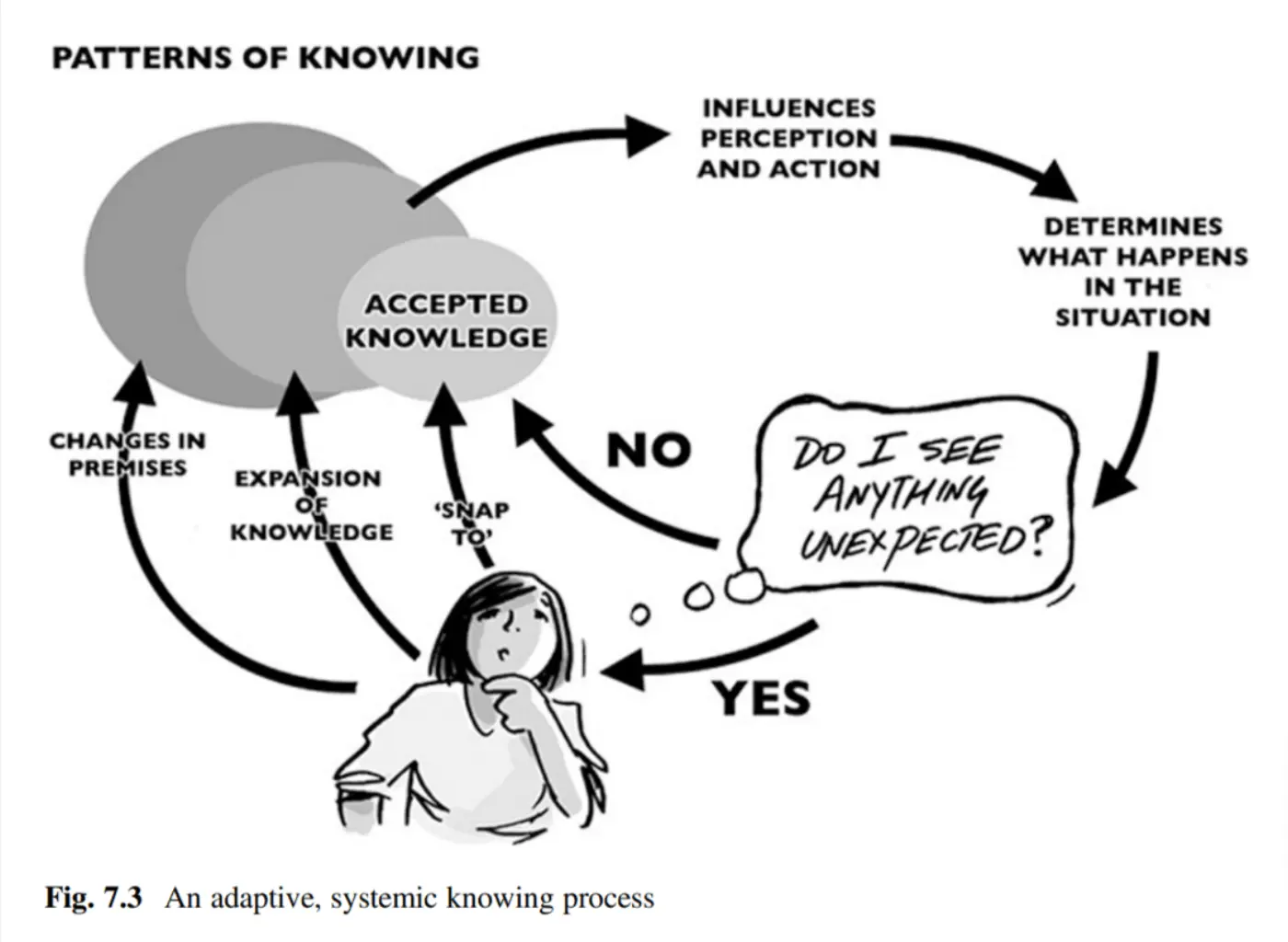 Figure 7.3 from the book 'Systems Practice' shows an adaptive, systemic knowing process diagram. It features two unlabelled overlapping circles and one labelled 'Accepted Knowledge'. 
Arrows indicate a flow from the two unlabelled overlapping circles to 'Influences perception and action' and then to 'Determines what happens in the situation'

This leads to a person with a thought bubble 'Do I see anything unexpected?'. The arrow indicating 'No' leads to 'Accepted knowledge' while the arrow indicating 'Yes' leads to 'Snap to', 'Expansion of knowledge', and 'Changes in premises'. These three arrows lead back to the unlabelled overlapping circles.

 'Accepted Knowledge', signifying 'Changes in Premises' and 'Expansion of Knowledge'. Another arrow leads from 'Accepted Knowledge' to a thought bubble from a person who is pondering, which reads 'Do I see anything unexpected?'. If the answer is 'No', an arrow leads back to 'Accepted Knowledge', indicating a 'Snap to' effect. If 'Yes', the arrow loops from the thought bubble to 'Determines what happens in the situation', which then influences 'Perception and Action', completing the cycle back to 'Patterns of Knowing'.