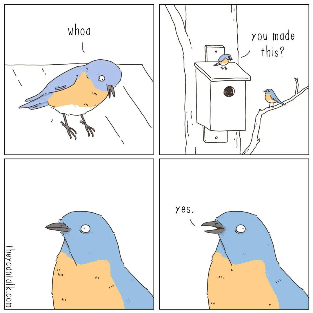 Auto-generated description: A bird expresses amazement at a birdhouse another bird has made, to which the creator proudly responds, yes.